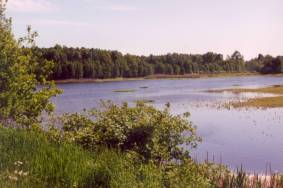 Blick auf einen alten, noch mit Wasser gef�llten Fischteich bei Poremba