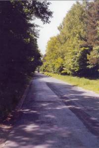 Strasse von Schwiertz in Richtung Bankwitz / G�lchen
